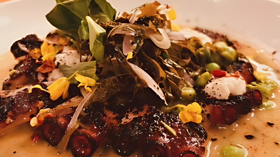 Close-up of plate of food